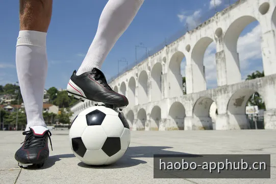 好博APP内置播放器实机界面预览